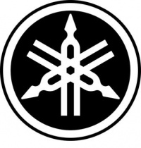TH0610080004 logo-yamaha-diapasons 1